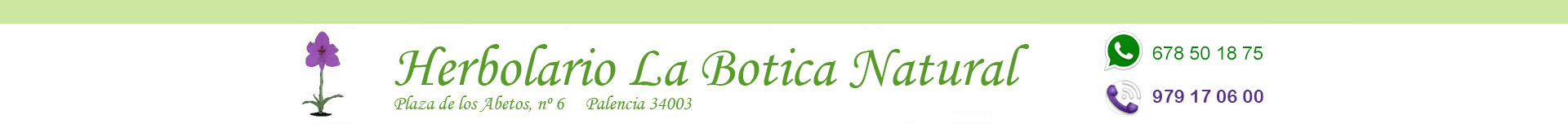 Cosmética e Higiene Ecológia, Aceites Capilares, Herbolario online Palencia