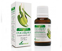aceite-esencial-eucalipto
