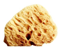 esponja-honey-comb